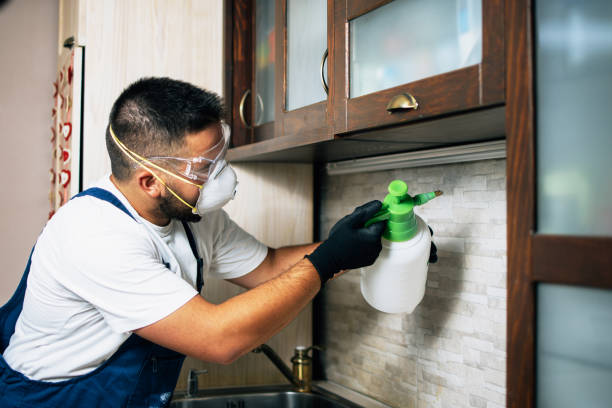 Best Residential Pest Control  in Jamaica Beach, TX