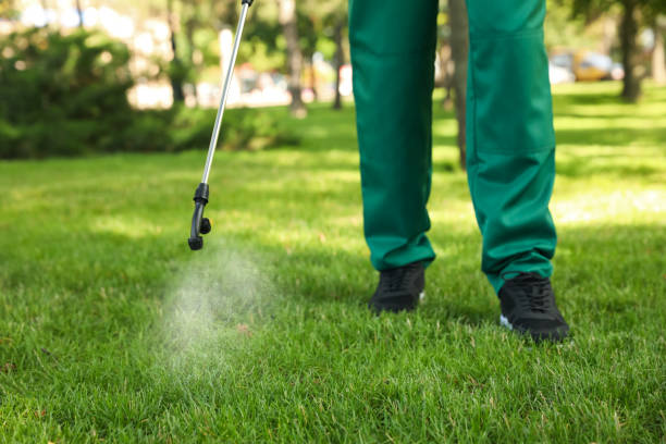 Best Exterminator Services  in Jamaica Beach, TX