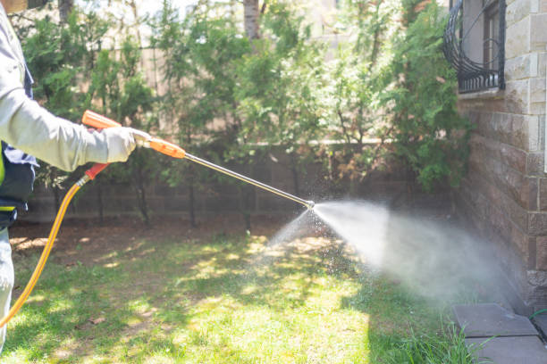 Best Flea Control Services  in Jamaica Beach, TX