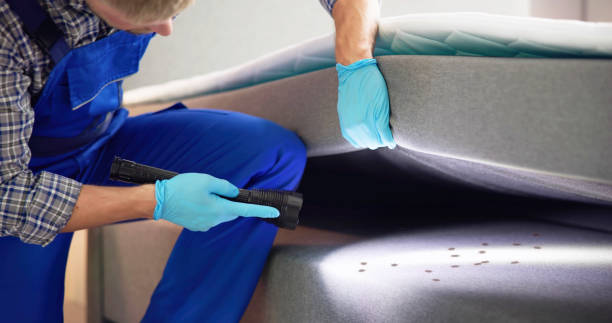 Pest Prevention Services in Jamaica Beach, TX