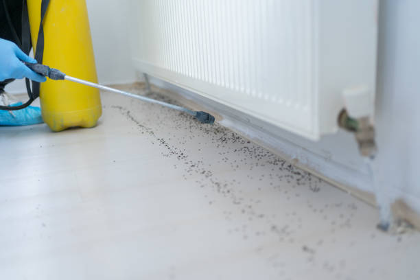 Best Commercial Pest Control Services  in Jamaica Beach, TX